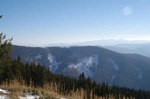 Picture provided by B7C 10/19/2022